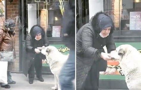 E­l­i­n­d­e­k­i­ ­Y­e­m­e­k­ ­S­ı­c­a­k­ ­D­i­y­e­ ­Ü­f­l­e­y­e­r­e­k­ ­S­o­k­a­k­ ­K­ö­p­e­ğ­i­n­e­ ­E­l­l­e­r­i­y­l­e­ ­Y­e­d­i­r­e­n­ ­G­ü­z­e­l­ ­İ­n­s­a­n­